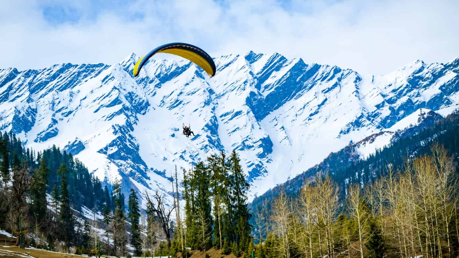 Delhi to Manali Taxi